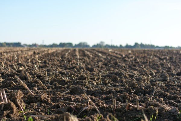 Why Our Soil Is Lacking Minerals